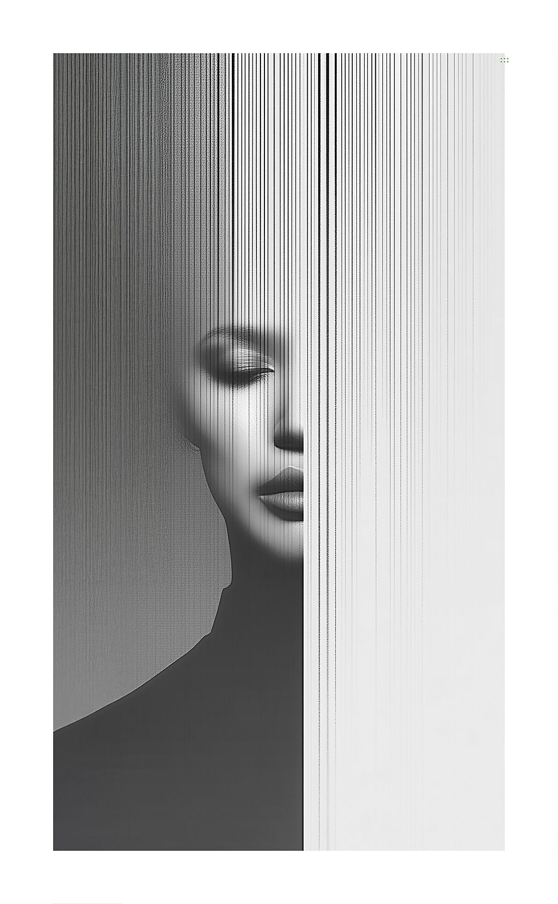 Studio 51 | From Chaos to Clarity