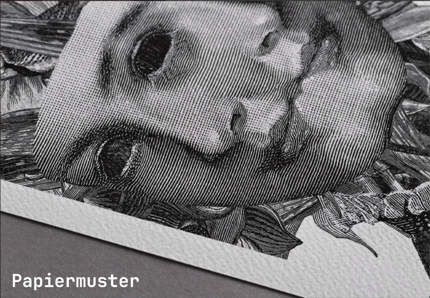 Studio51 - From Chaos to Clarity 55x89 cm